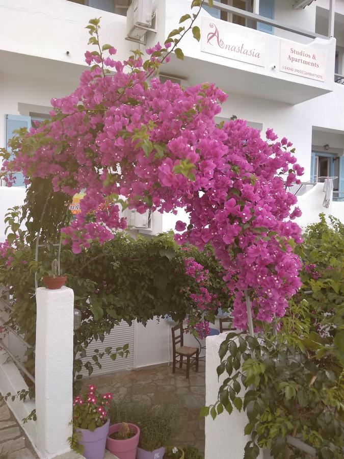 Anastasia Studios & Apartments Panormos  Ngoại thất bức ảnh